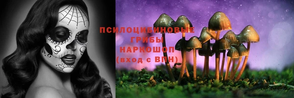 mdpv Армянск